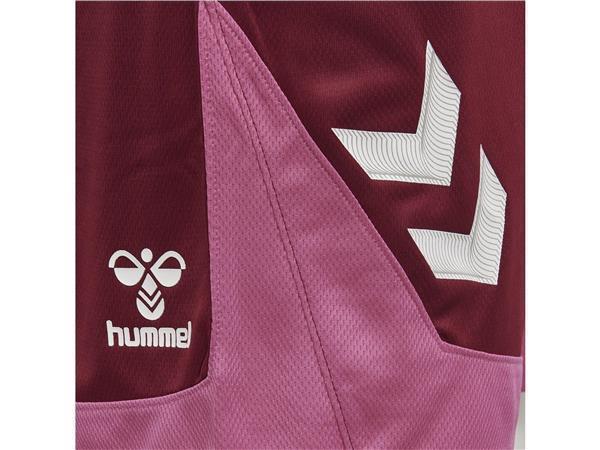 Hummel  hmlLEAD POLY SHORTS Rot Größe L