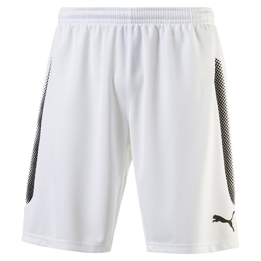 Puma Striker Shorts with innerb Größe XL